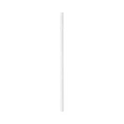 Simple 23 cm glass straw