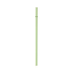 Eenvoudig glazen rietje 23 cm - groen