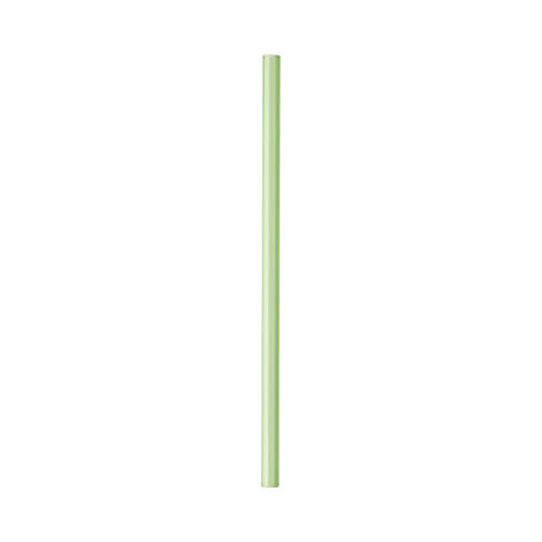 Paille en verre simple 20 cm - vert