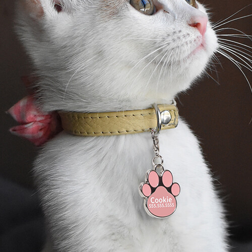 Dog tag for sublimation - pink paw