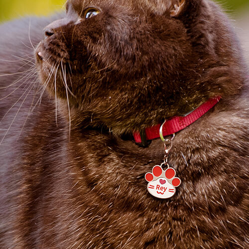 Dog tag for sublimation - red paw