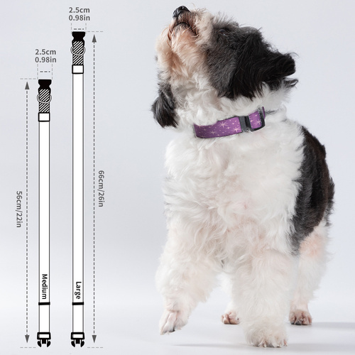 Set med 4 hundhalsband 56 x 2,5 cm för tryck