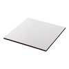 Multiplex plaat voor sublimatie 30,5 x 30,5 cm - wit