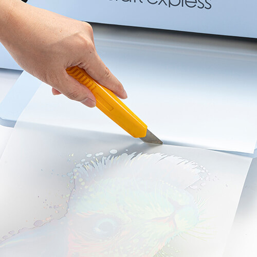 OtterPro DTF 30 cm x 100 m printfolie