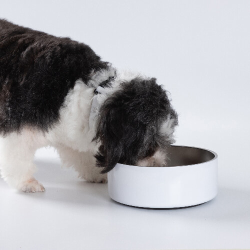 Gamelle pour chien en acier inoxydable 1250 ml pour sublimation - blanc