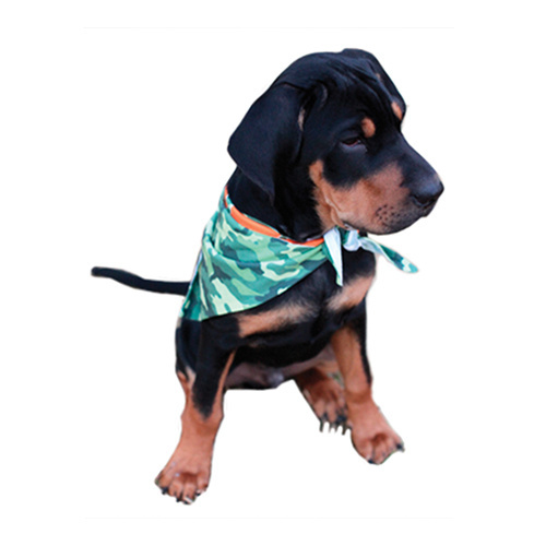 Bandana pour chien pour sublimation