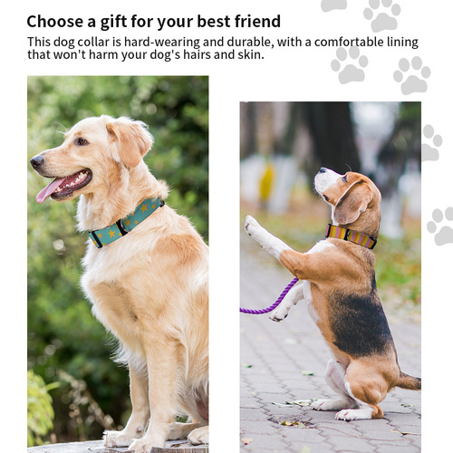 Juego de 4 collares para perros de 56 x 2,5 cm para imprimir