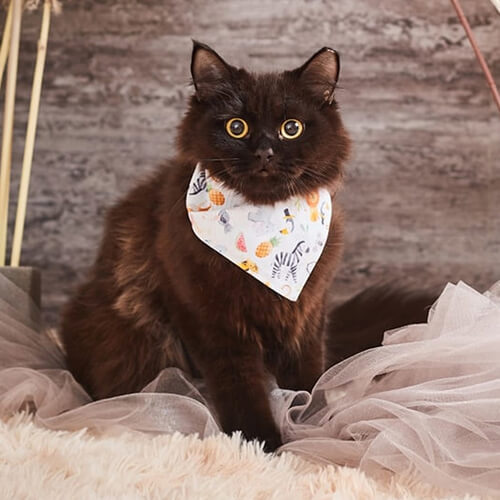 Bandana animal pour sublimation