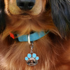 Dog tag for sublimation - blue paw