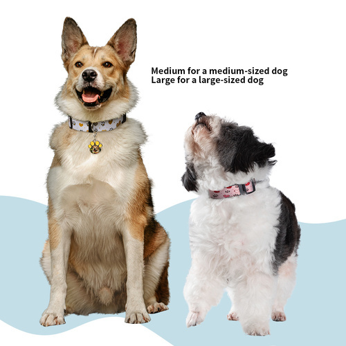 Juego de 4 collares para perros de 56 x 2,5 cm para imprimir