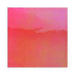 Samolepilna folija - roza mavrica