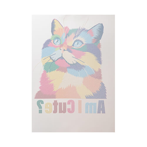 DTF tryckfilm A3 - 100 ark