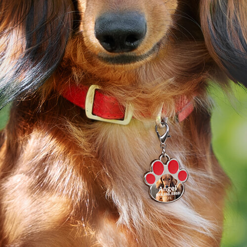 Dog tag for sublimation - red paw