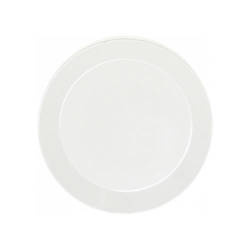 Plat en plastique